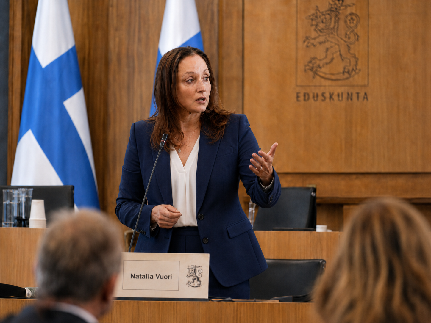 Expert testimony to Finnish parliament